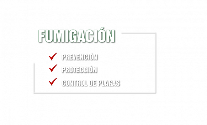 gallery/fumigador txt.fw